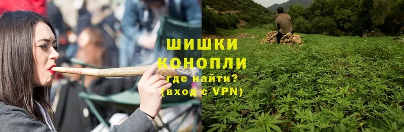 Конопля SATIVA & INDICA  где купить наркоту  Калининец 